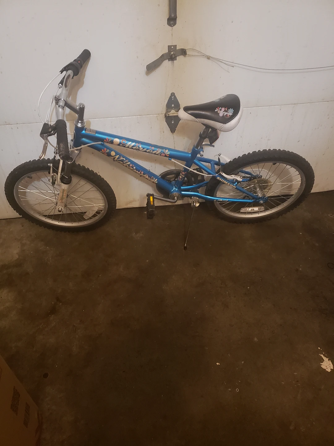 Beautiful Nakamura Kids Mountain bike