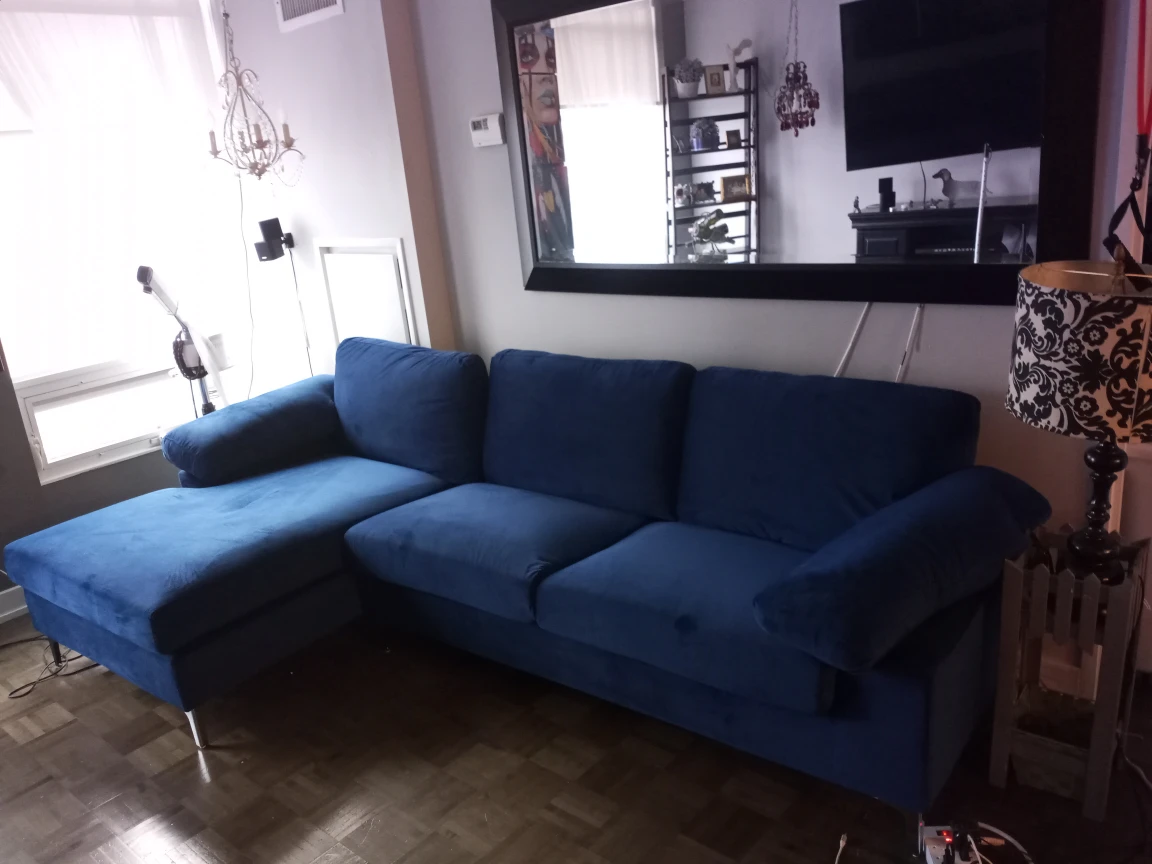 sectional sofa - photo 3