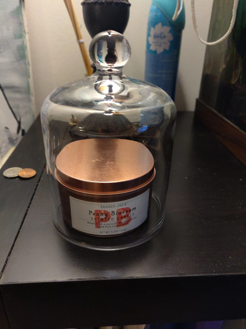 glass candle cloche/snuffer - photo 2