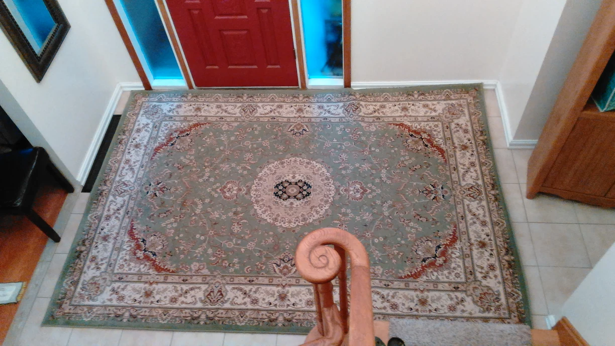 carpet - photo 3