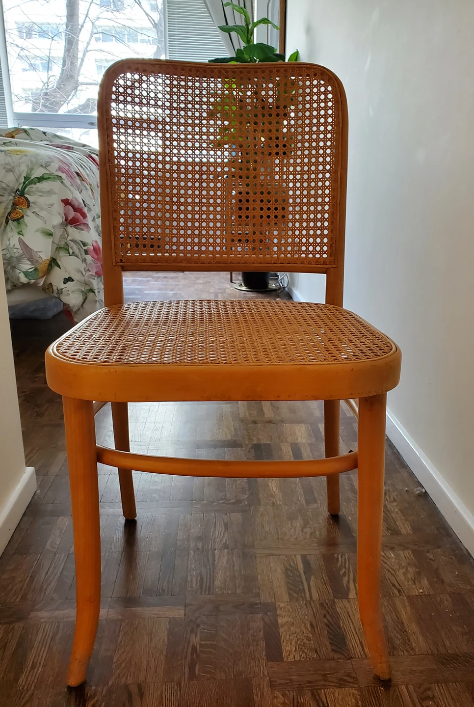 French Cane Chair
