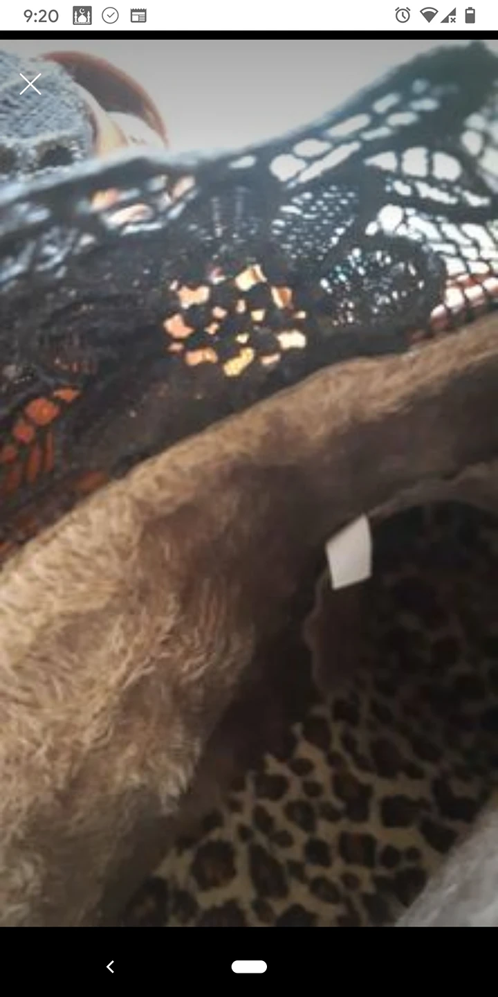 women boot image indicator(5)