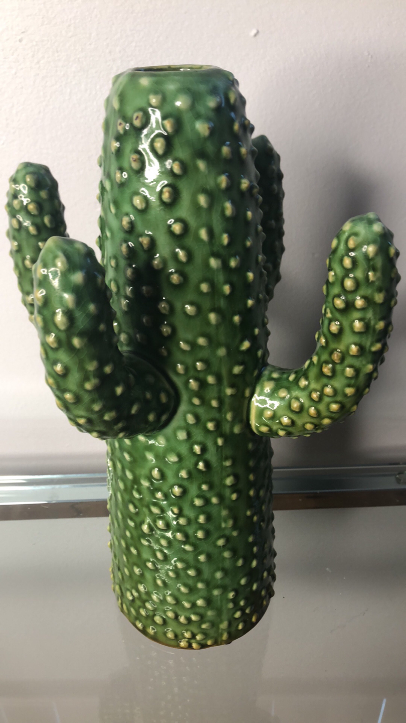 Cactus vase thumbnail