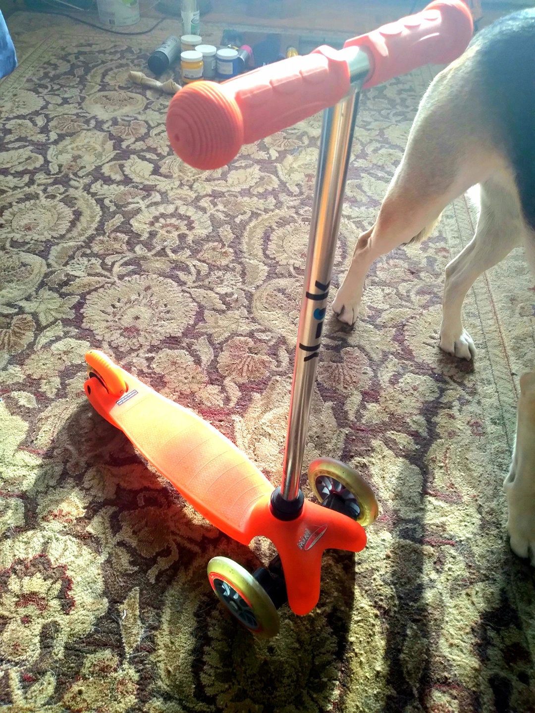cute orange scooter thumbnail