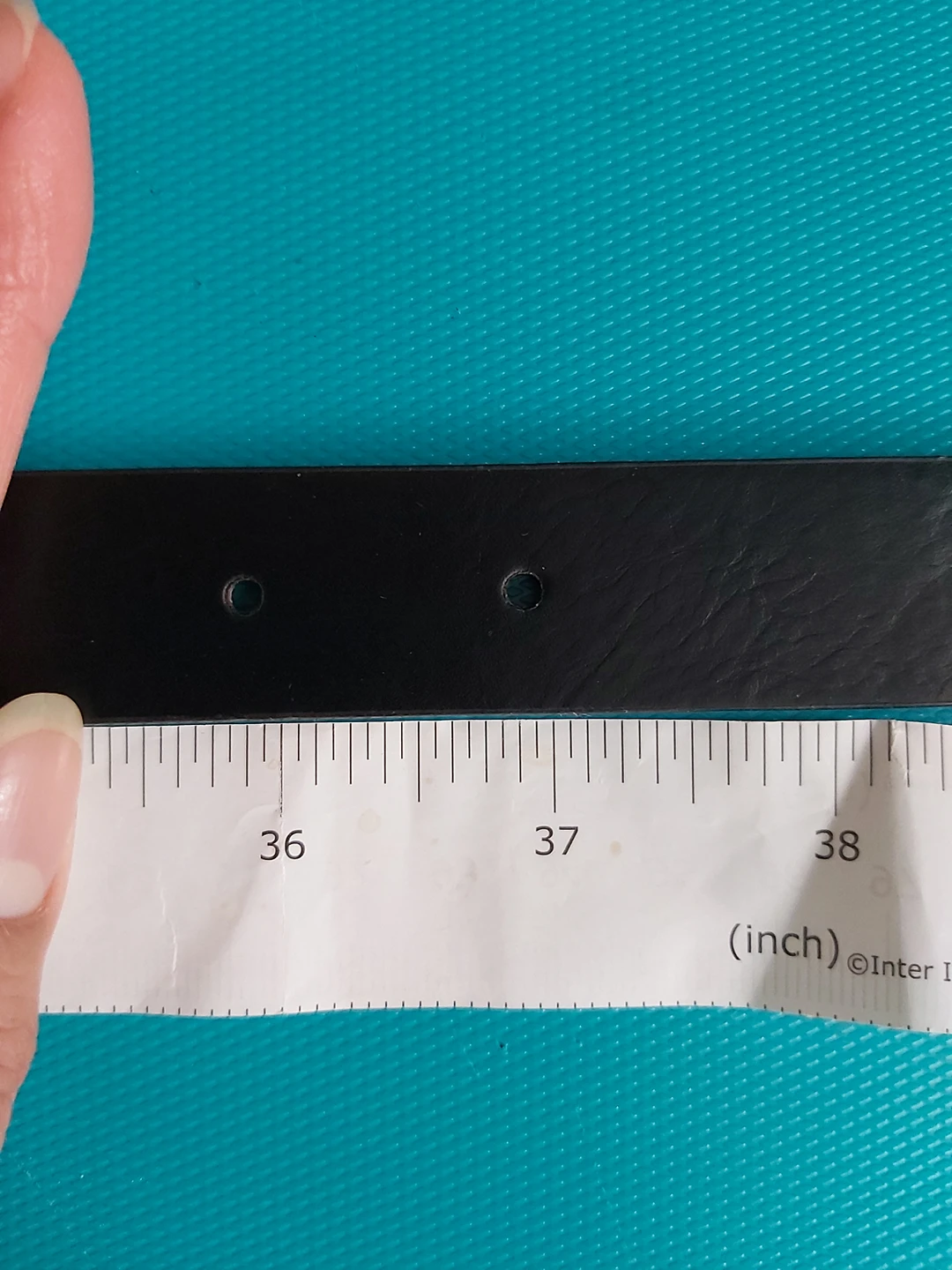 Belt image indicator(5)