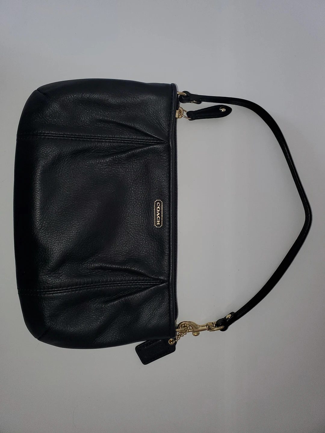 coach bag thumbnail