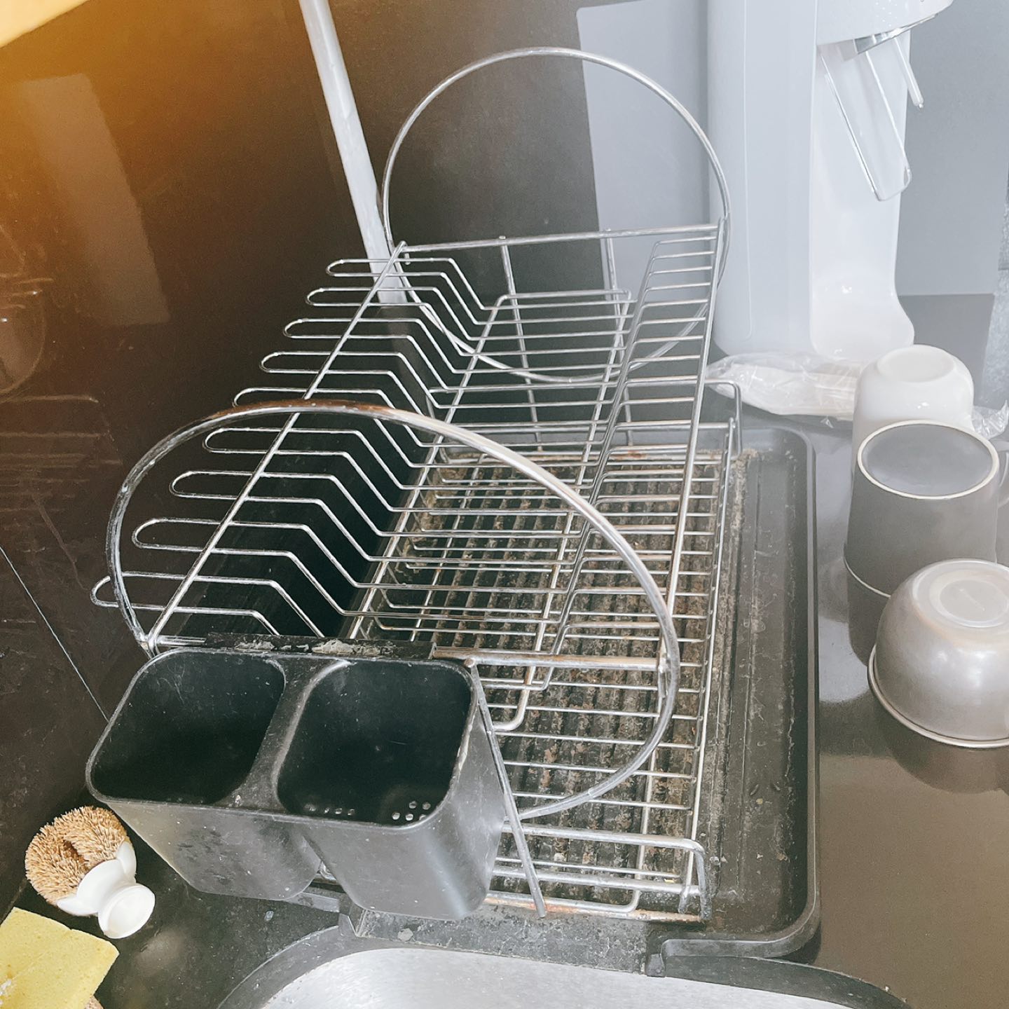 Dish drain rack