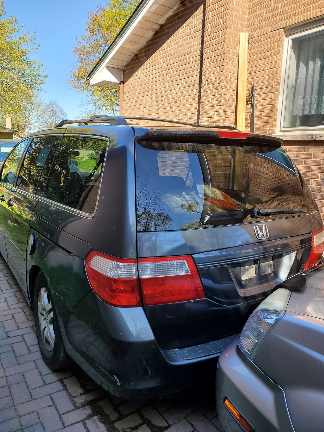 Honda Odyssey  2005 image indicator(3)