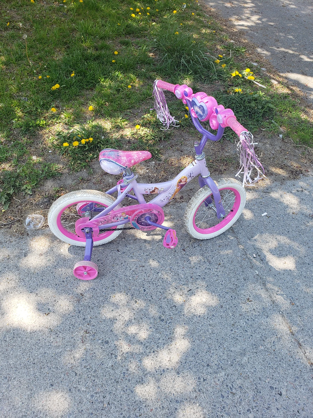 Beautiful Girls Bike 14 inch tires thumbnail