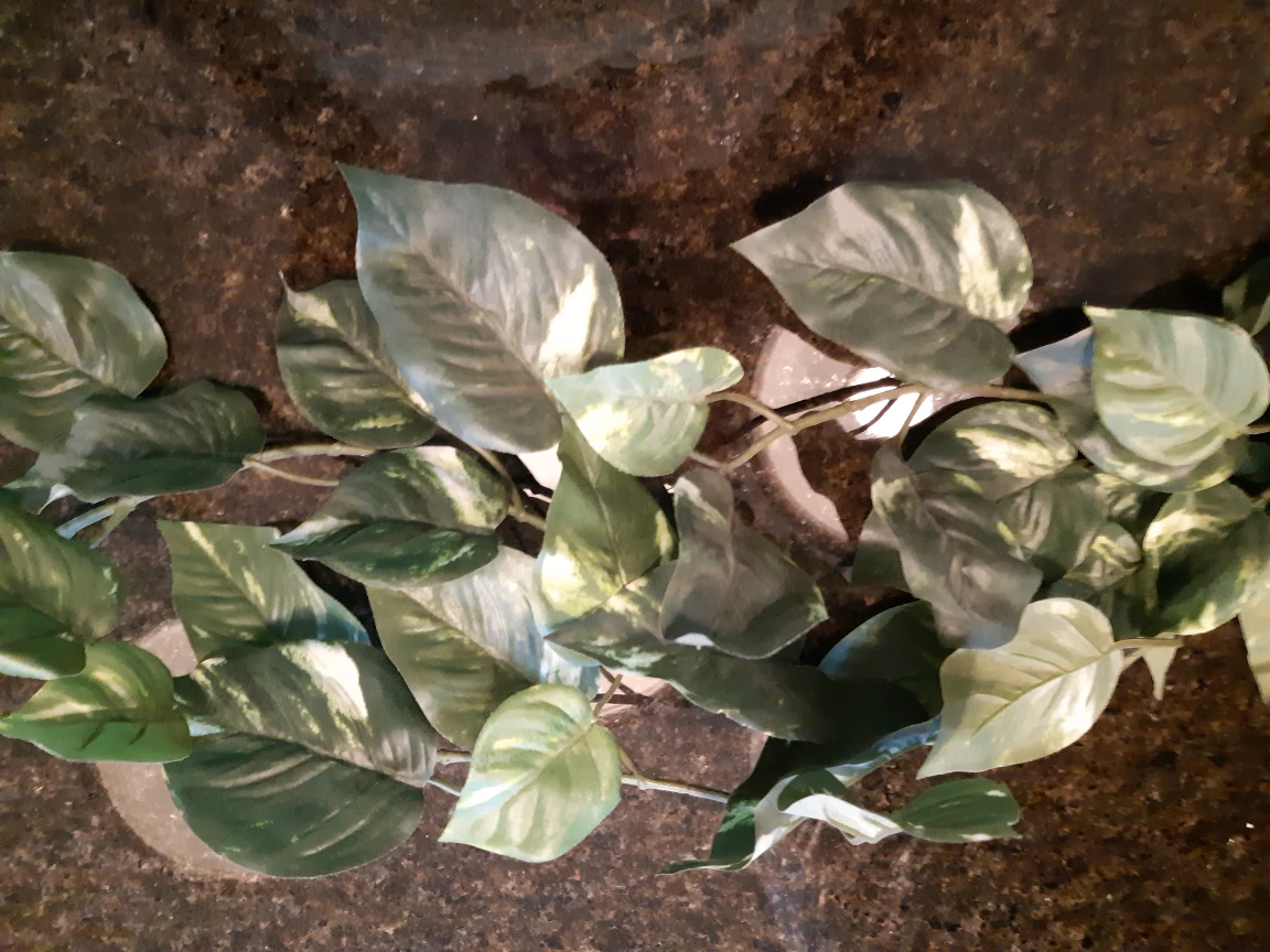 Artificial Vines/Leaves/Greenery image indicator(2)