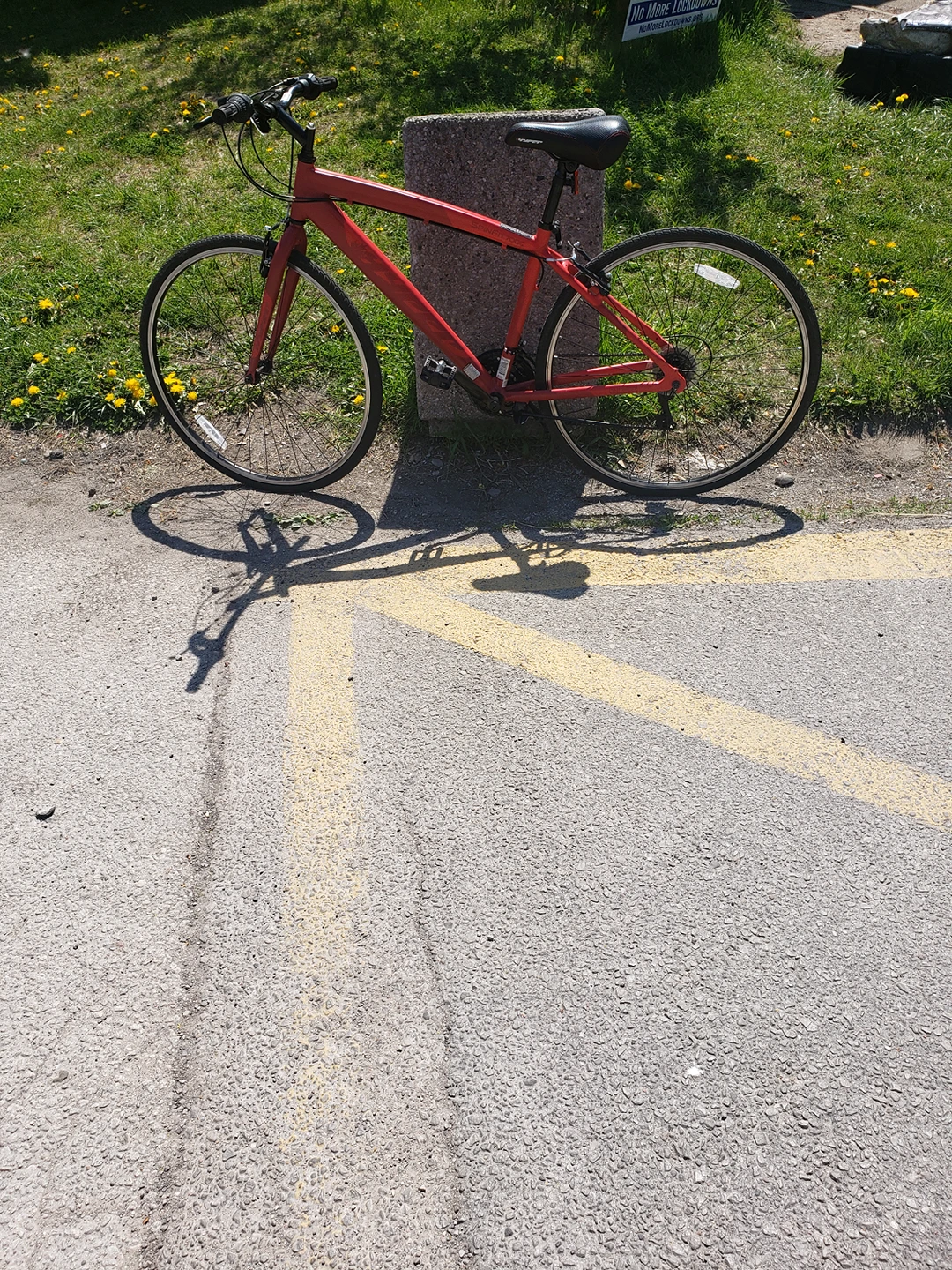 Amazing Adult HYBRID BIKE thumbnail