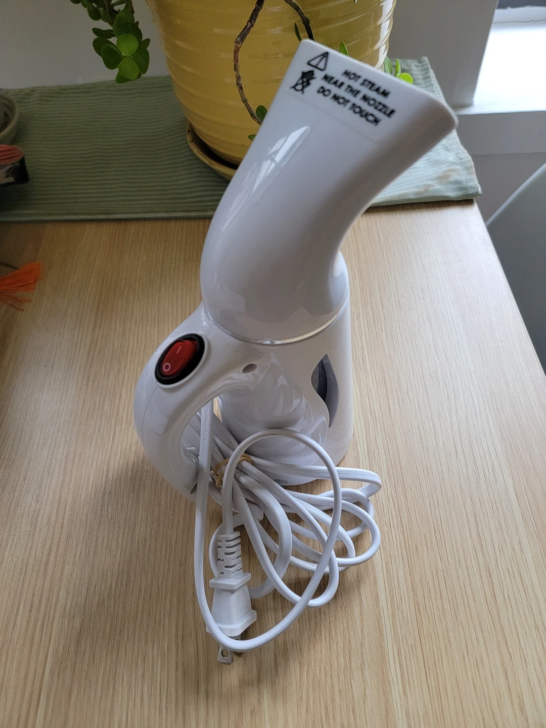 Portable Steamer