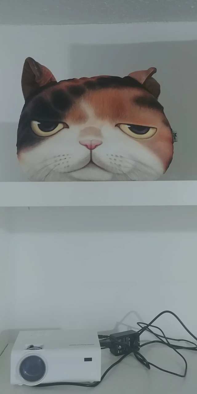 Big Cat Face Pillow 🐱 image indicator(2)