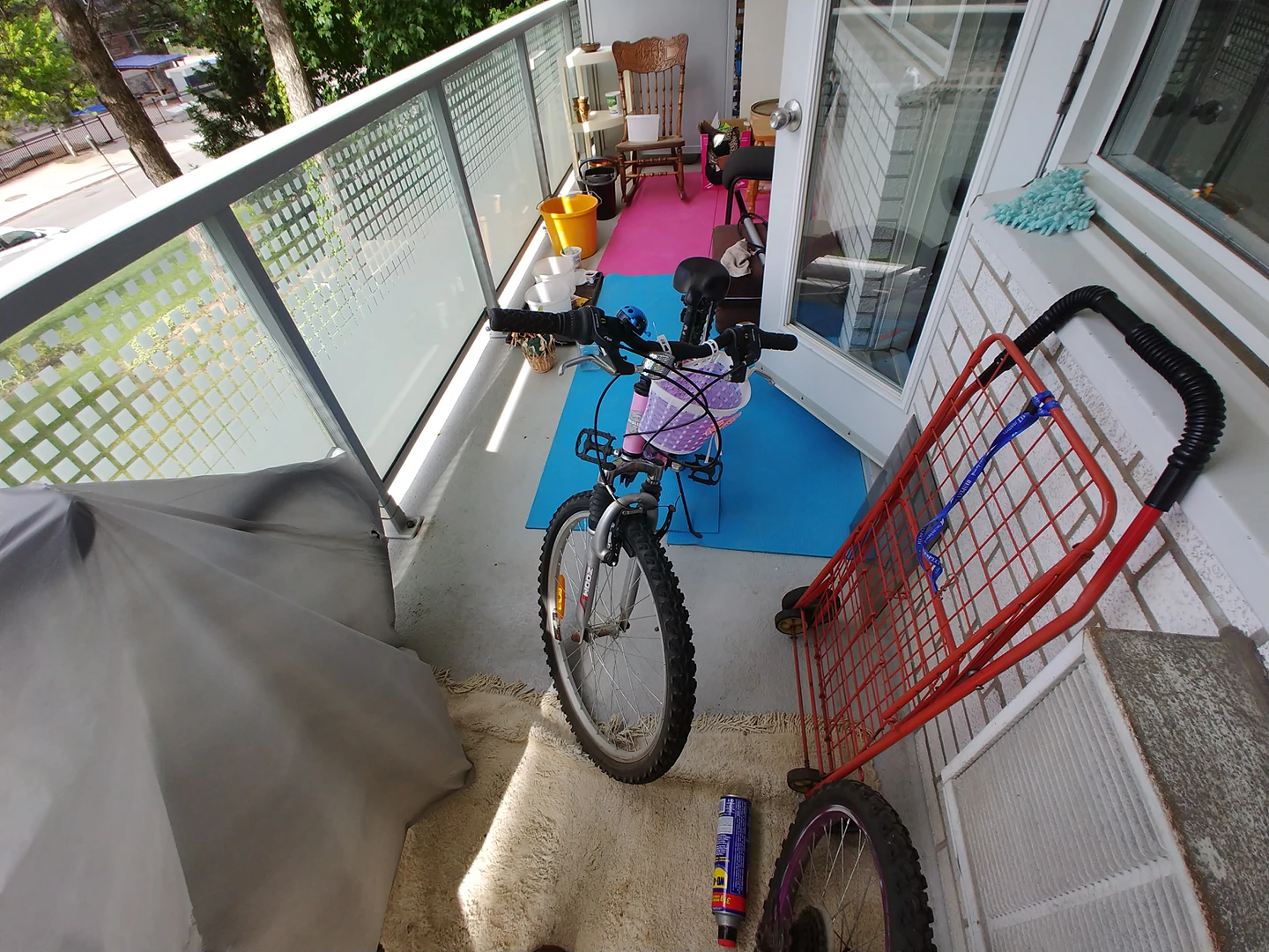 Mountainbike Wheel 24 Pink 18 Speed