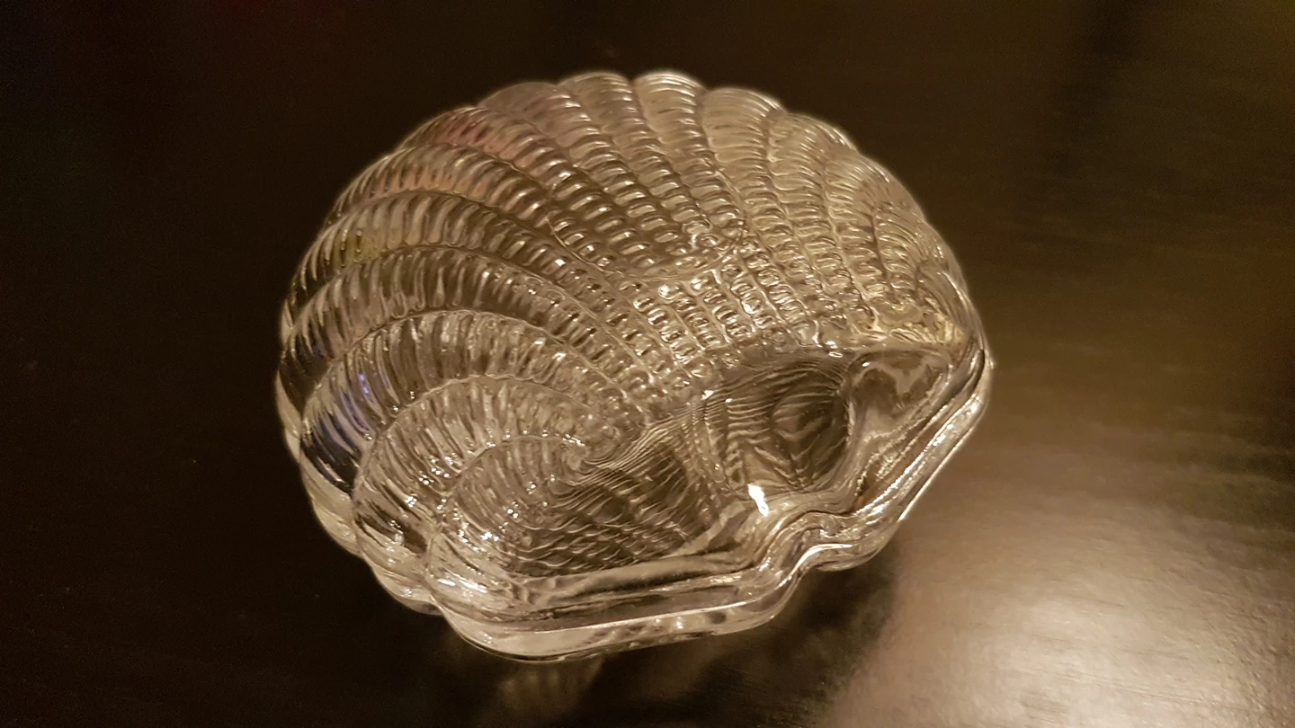Glass Shell Jewelry Box / Trinket Box thumbnail