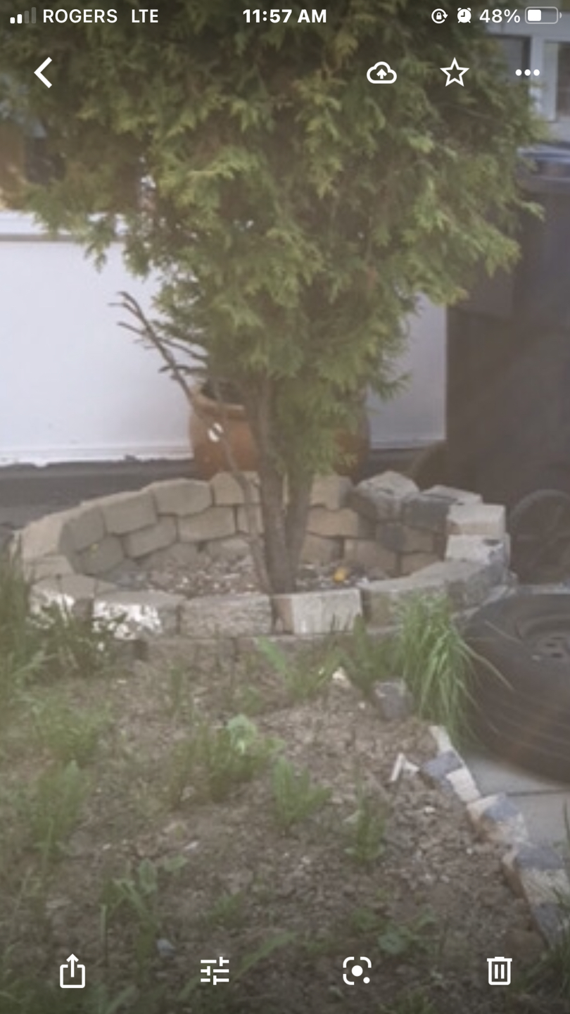 SOLD.         Free patio bricks  - photo 4