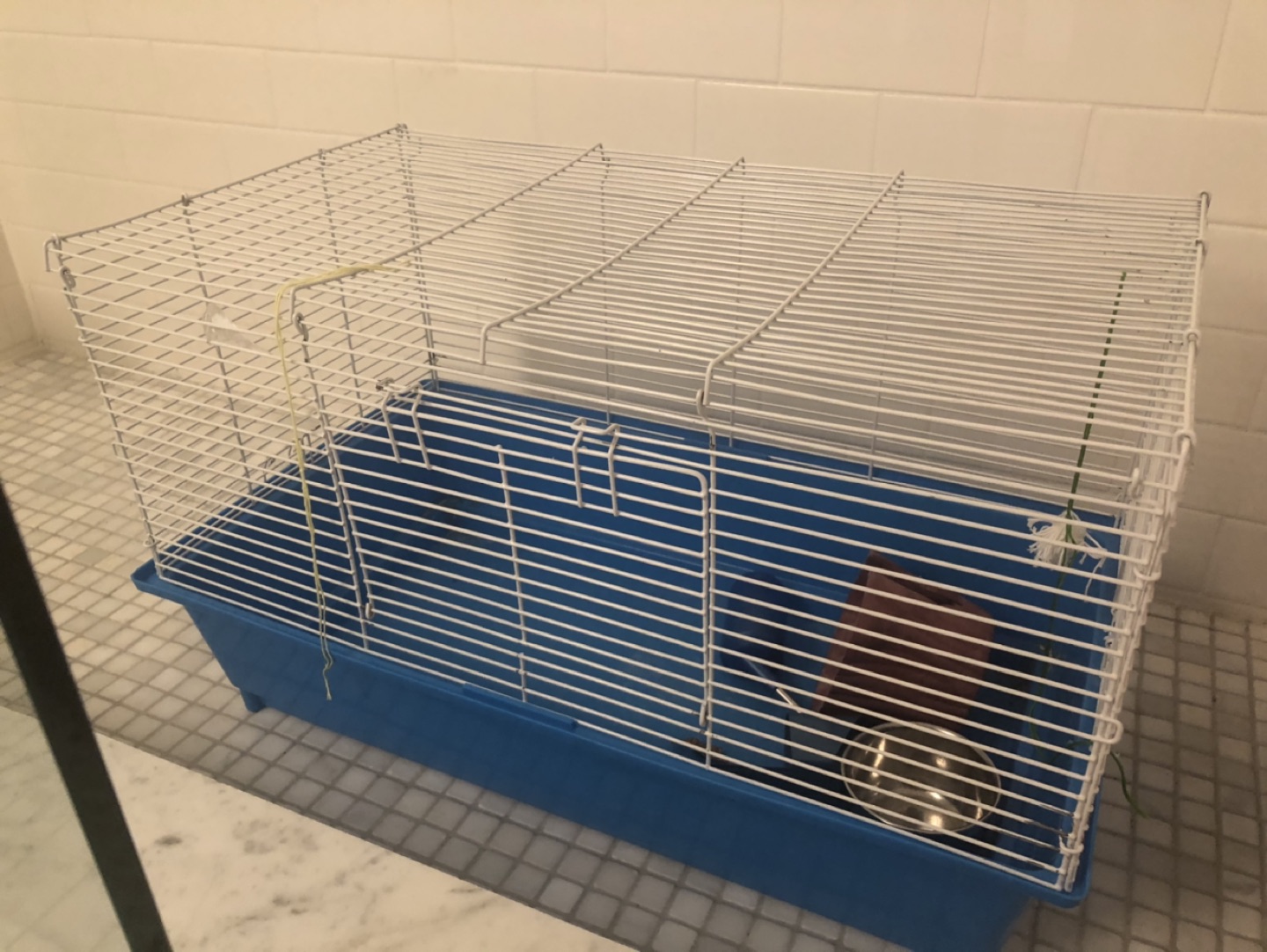 Small animal cage