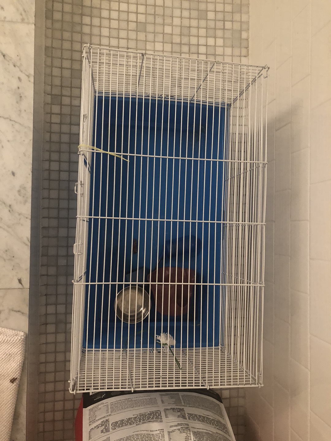 Small animal cage image indicator(2)