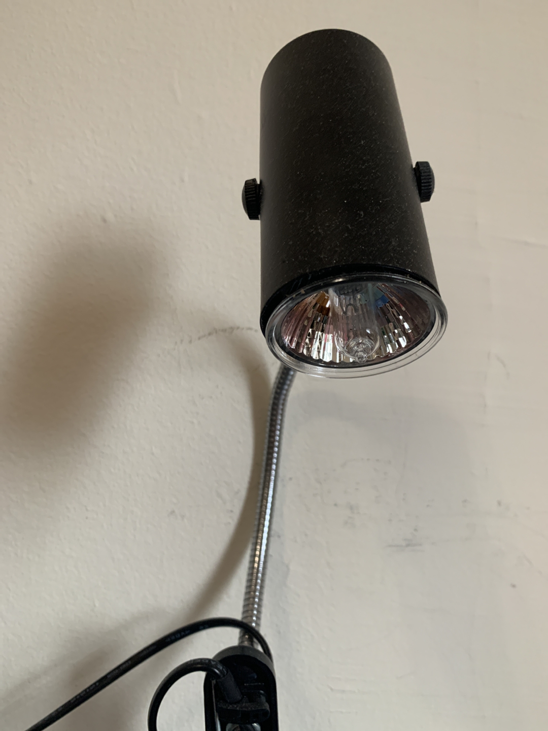 Clamp lamp for raptiles