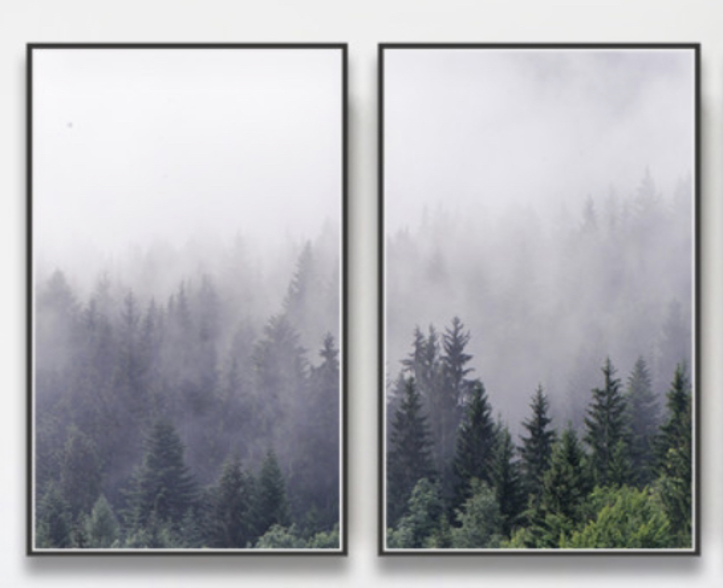 Nordic Fog Forest Lanscape Canvas Poster 