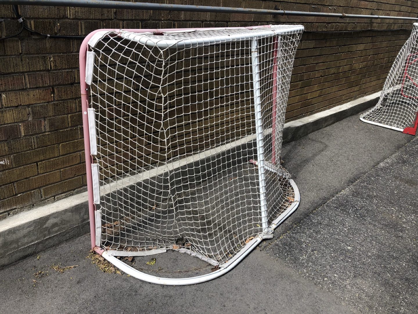 Free hockey net for parts