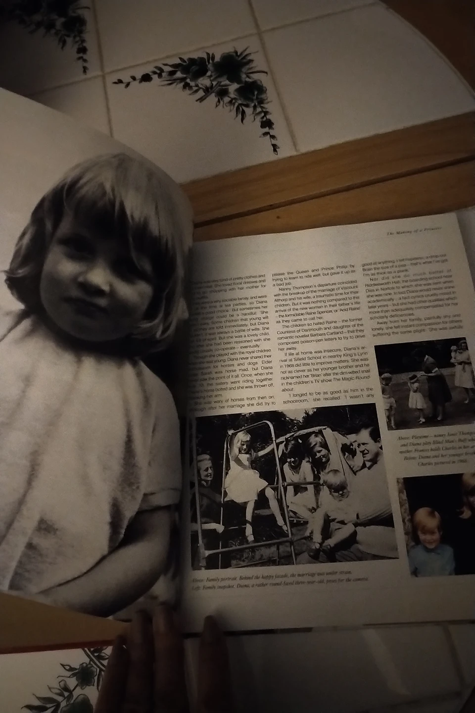 Princess Diana /Prince William and Kate books image indicator(6)