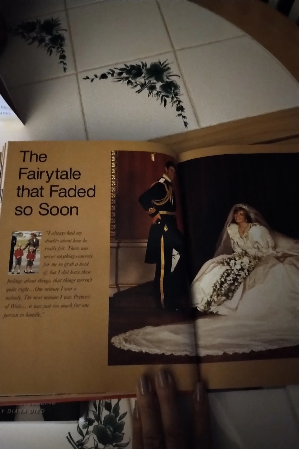 Princess Diana /Prince William and Kate books image indicator(5)