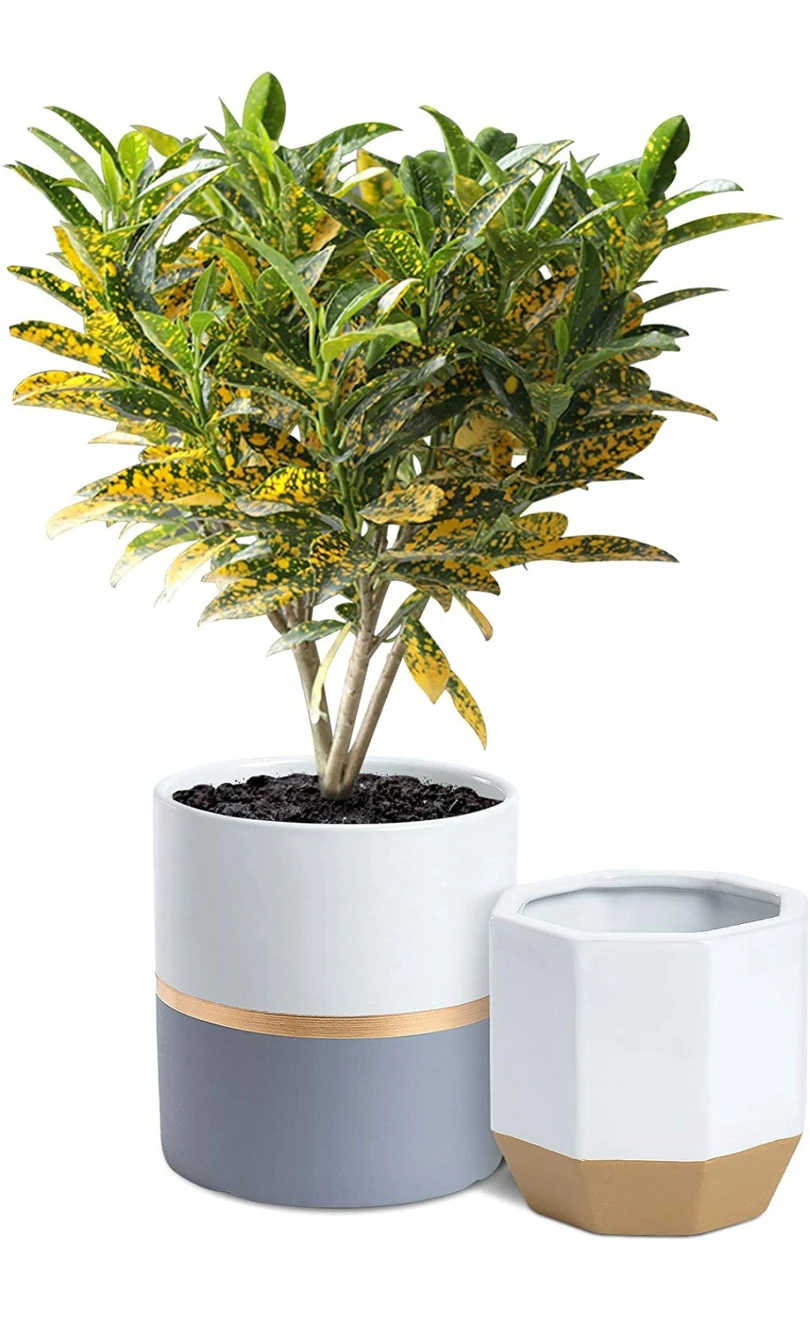 2 ceramic garden planters thumbnail