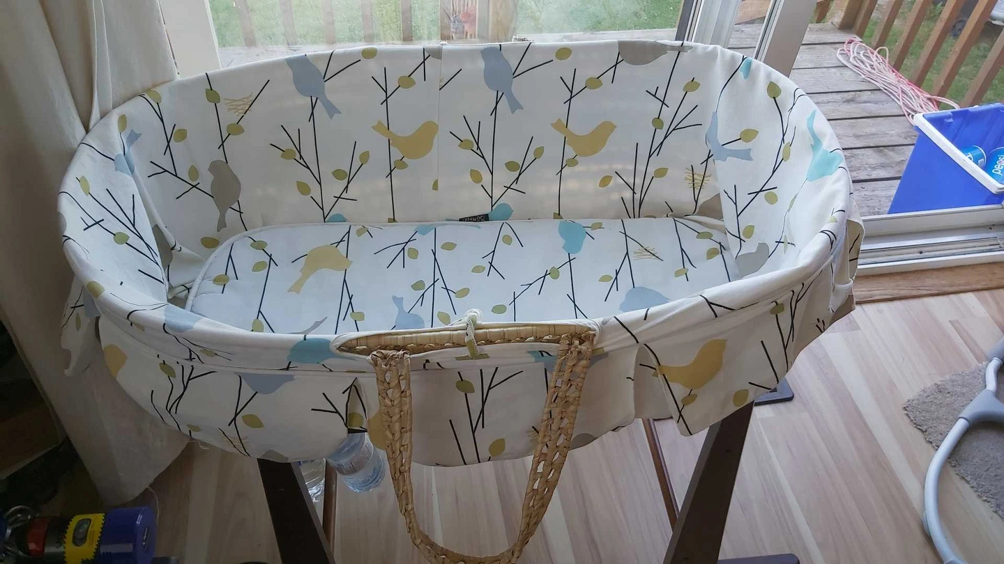 BASSINET - photo 2