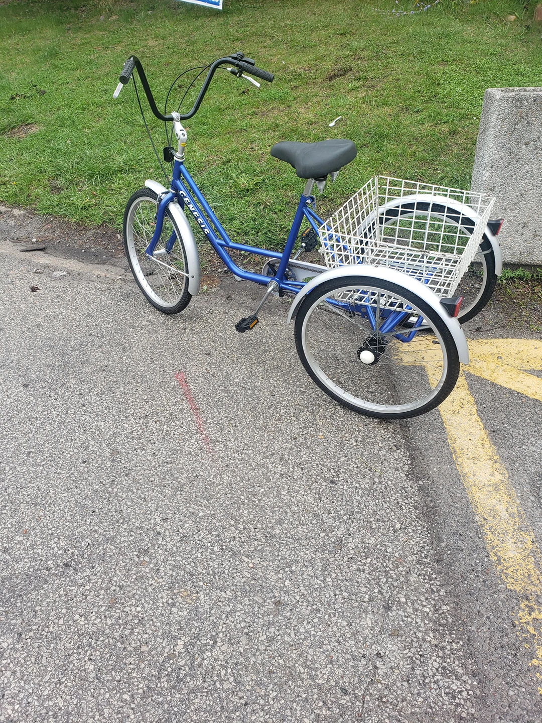 Amazing Tricycle thumbnail