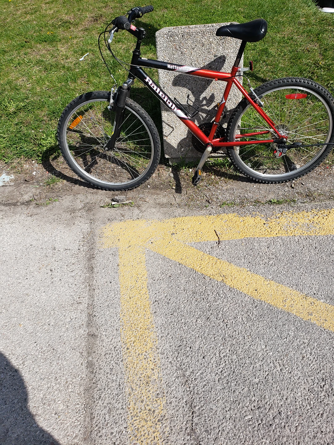 AMAZING ADULT RALEIGH MOUNTAIN BIKE thumbnail