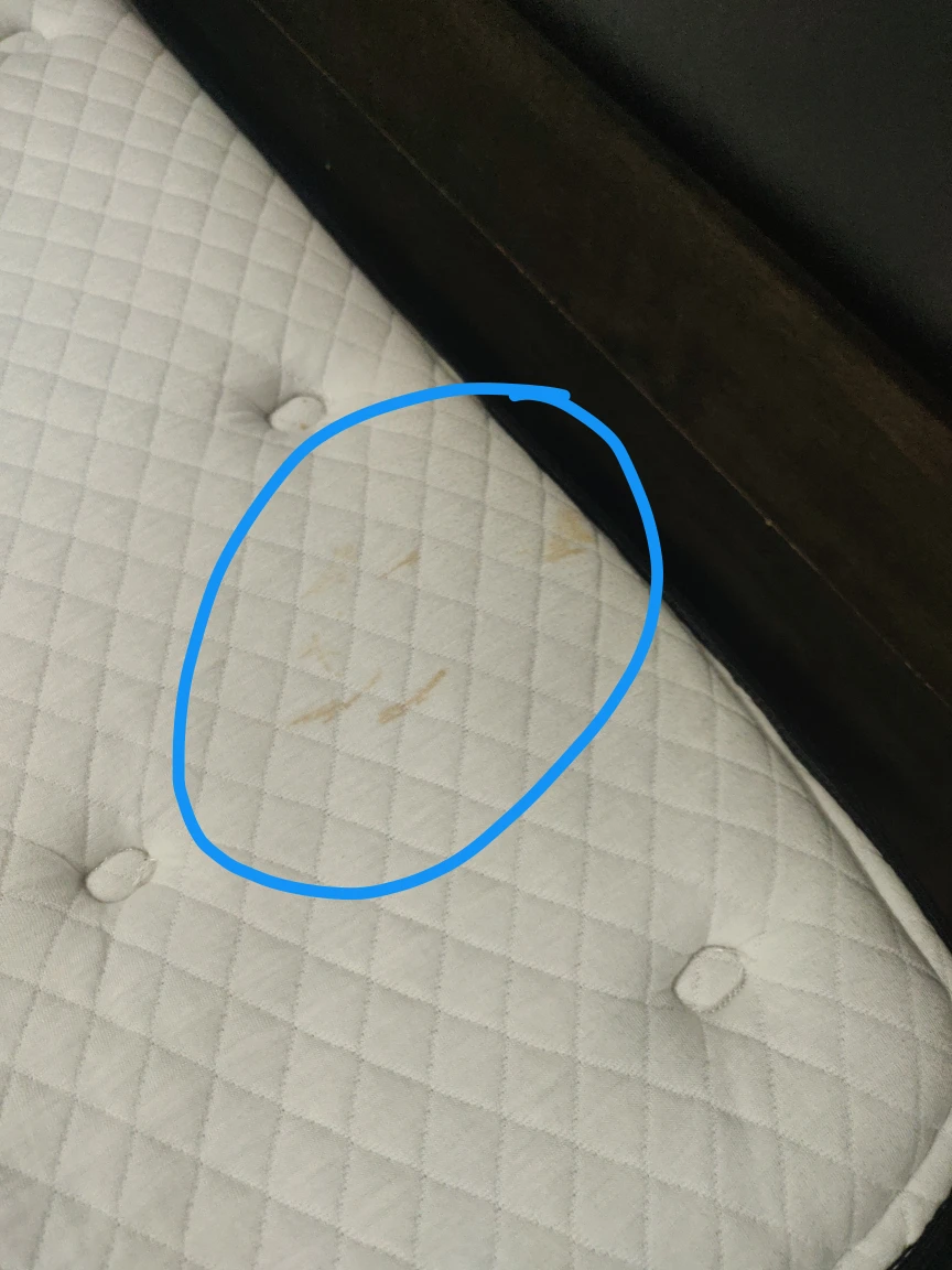 King size Primrose Pillow Top Mattress - photo 5