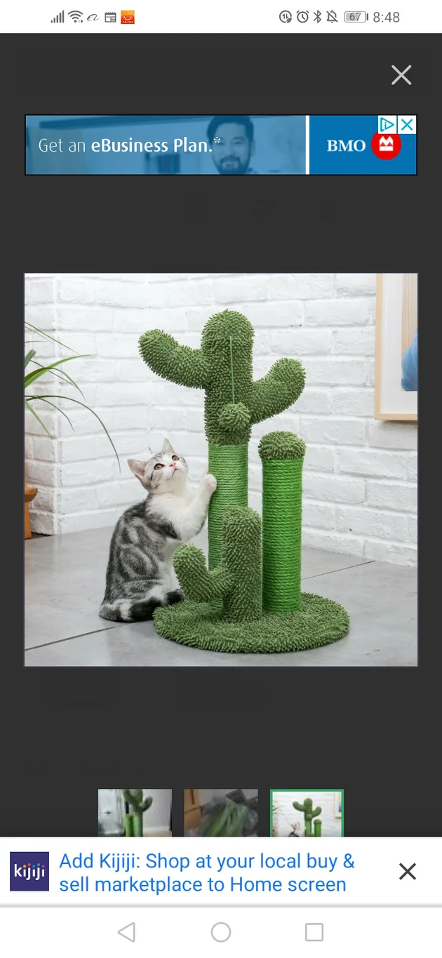 new fancy scratching post