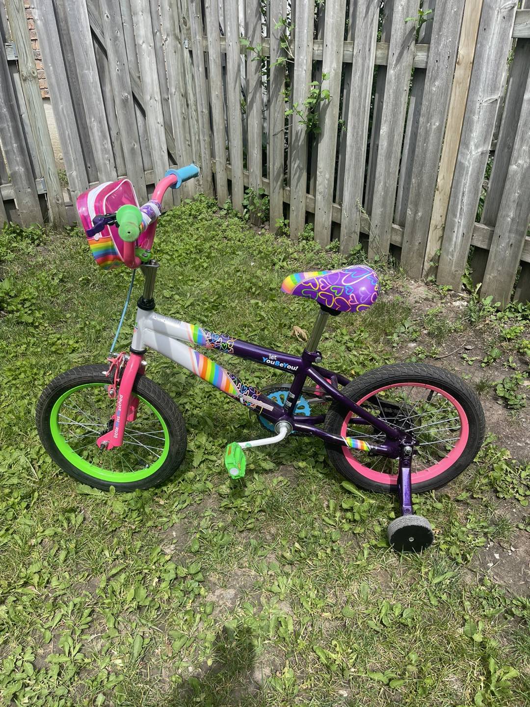 16’ Little Miss Match Bike