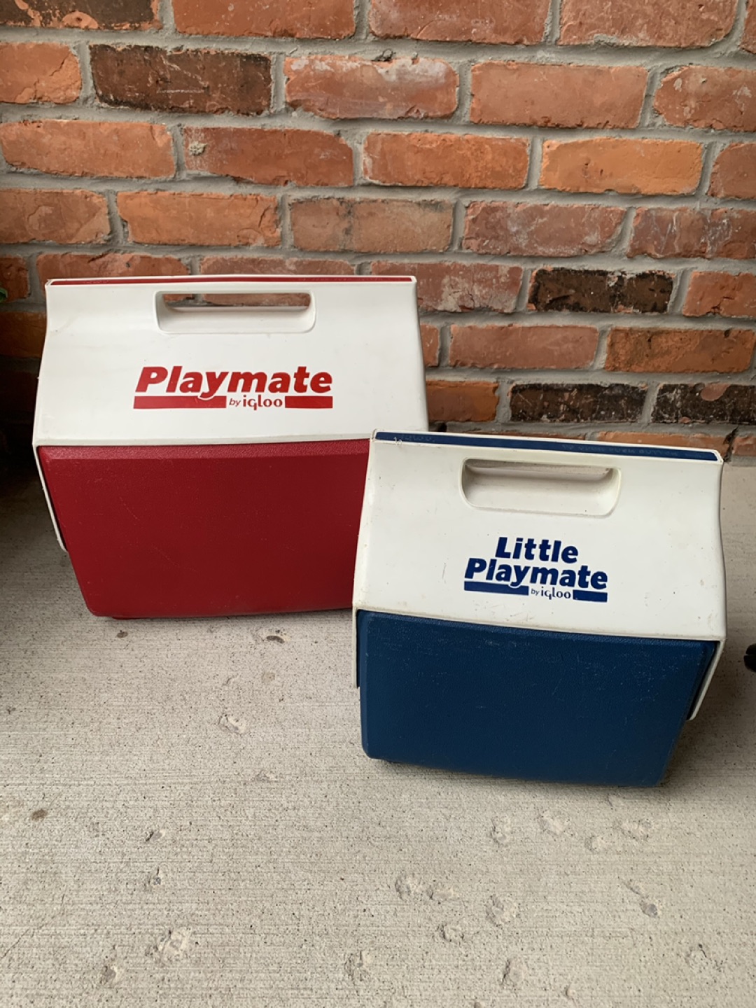 Igloo Coolers