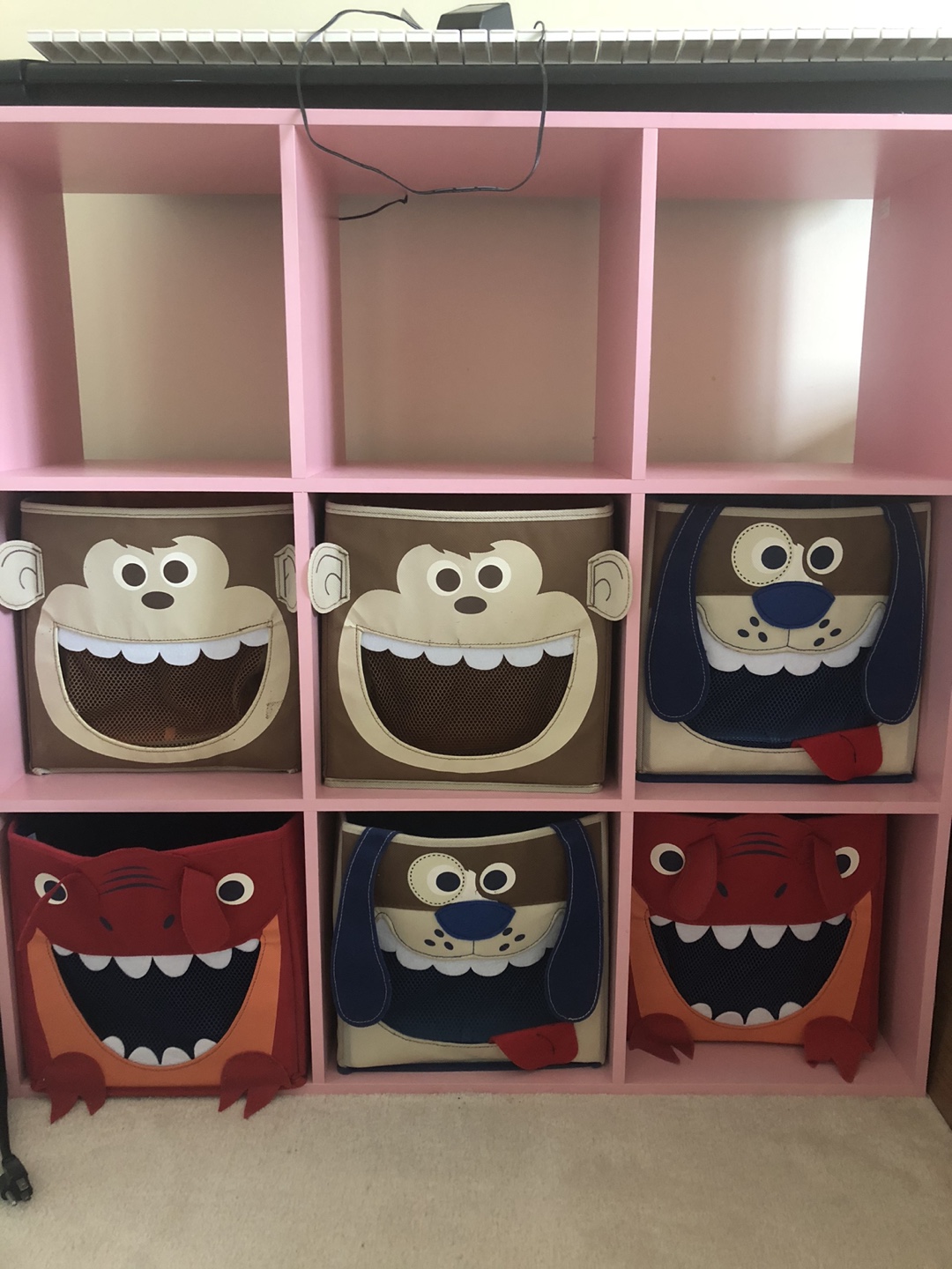 Bookcase or Toy Organizer