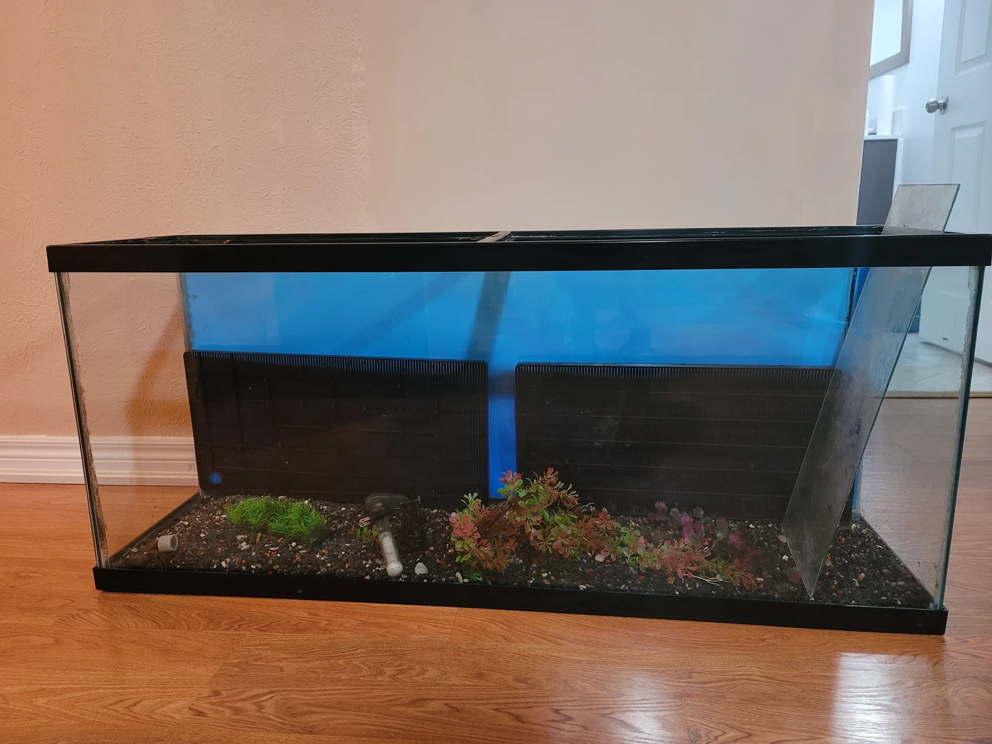 60 gallon tank