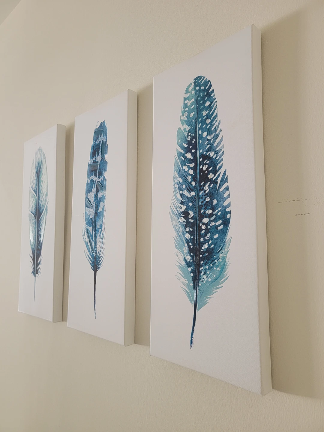 Feathers Posters - photo 2