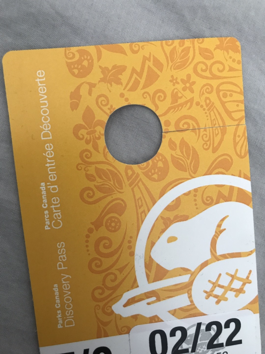 Discovery pass