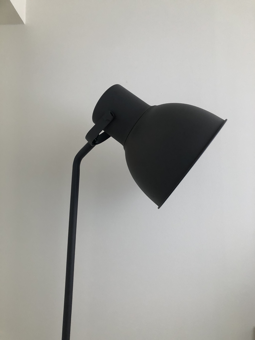 Floor lamp with light bulb 