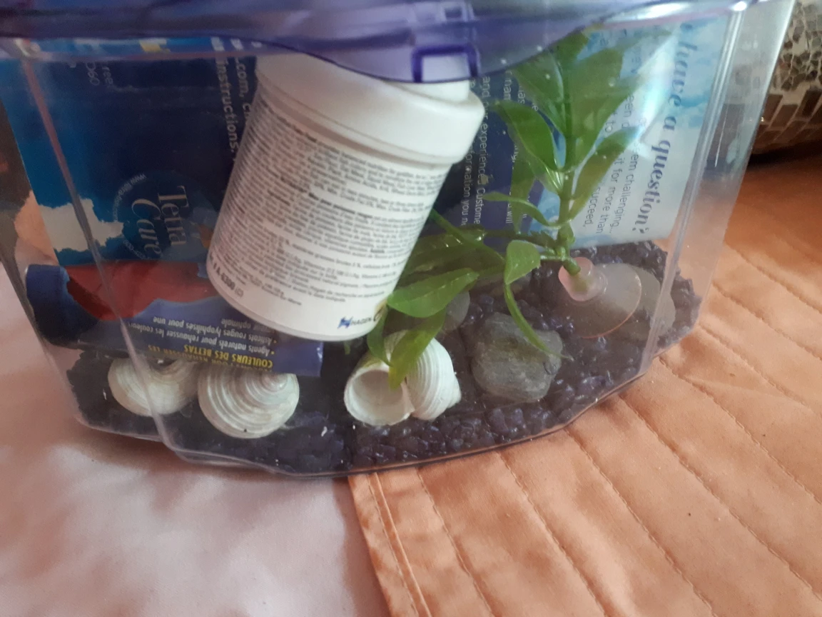 small fish tank thumbnail