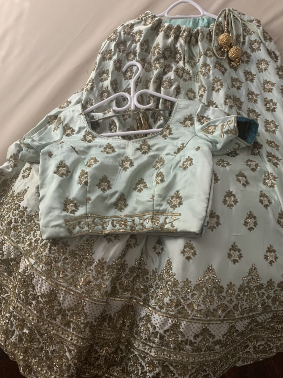 Beautiful ethnic lehenga - photo 5