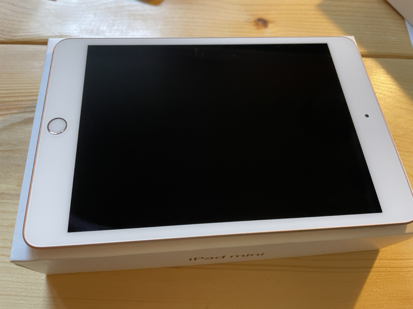 iPad mini Wi-Fi 64GB Gold 5th Gen