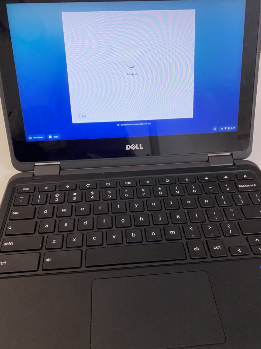 Dell chromebook touch screen - photo 4