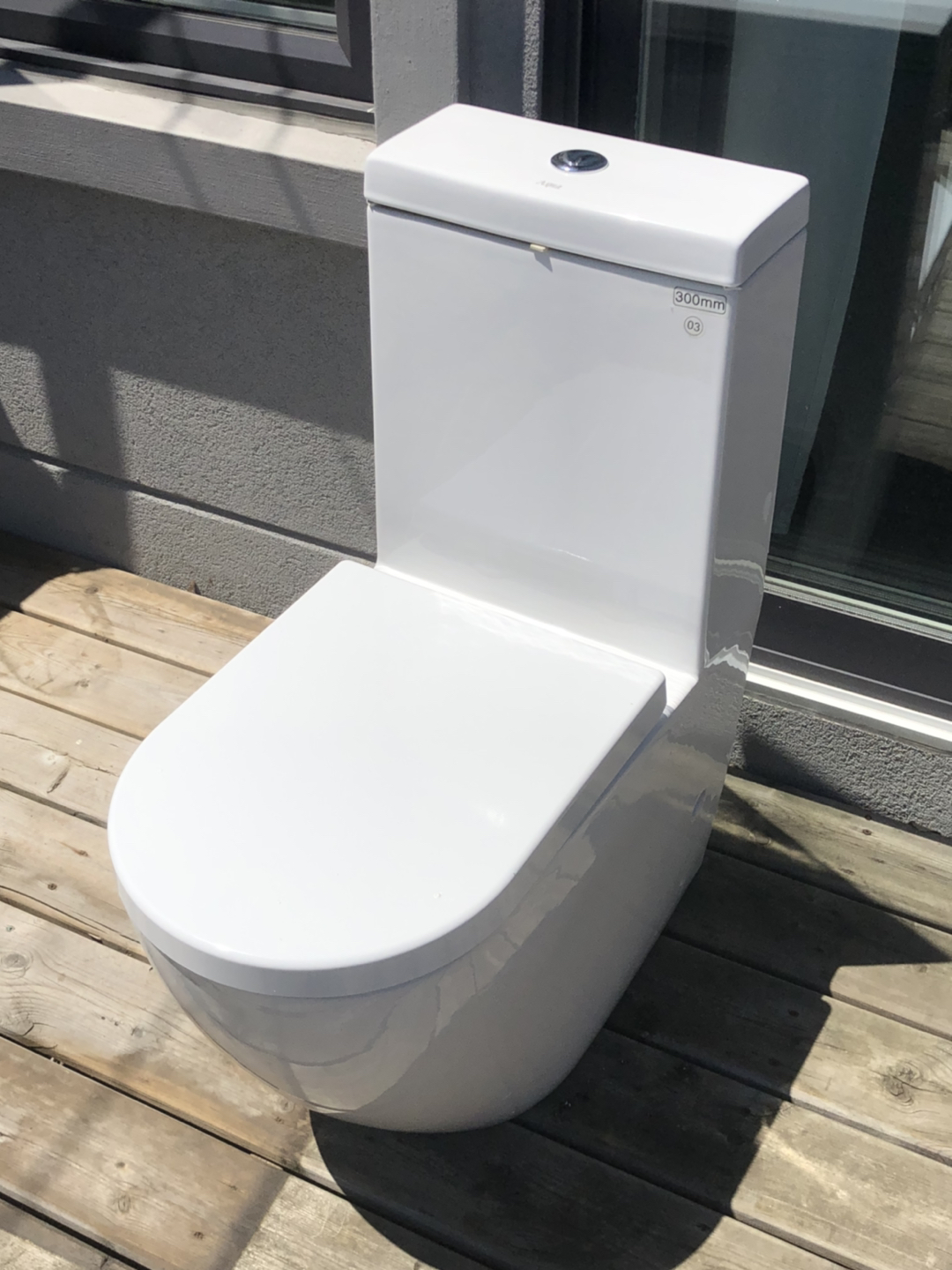 Dual Flush Toilet 