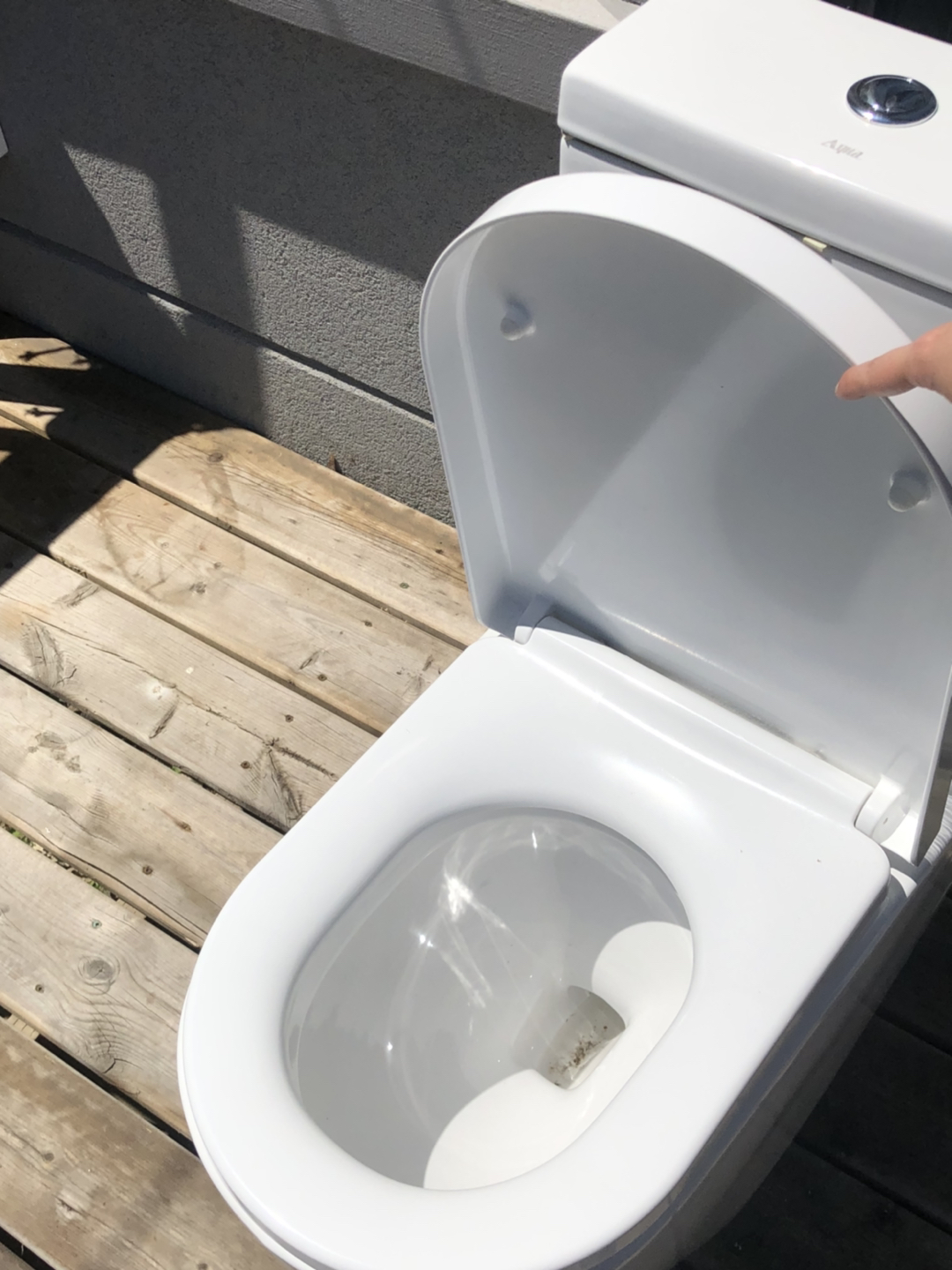 Dual Flush Toilet  - photo 2