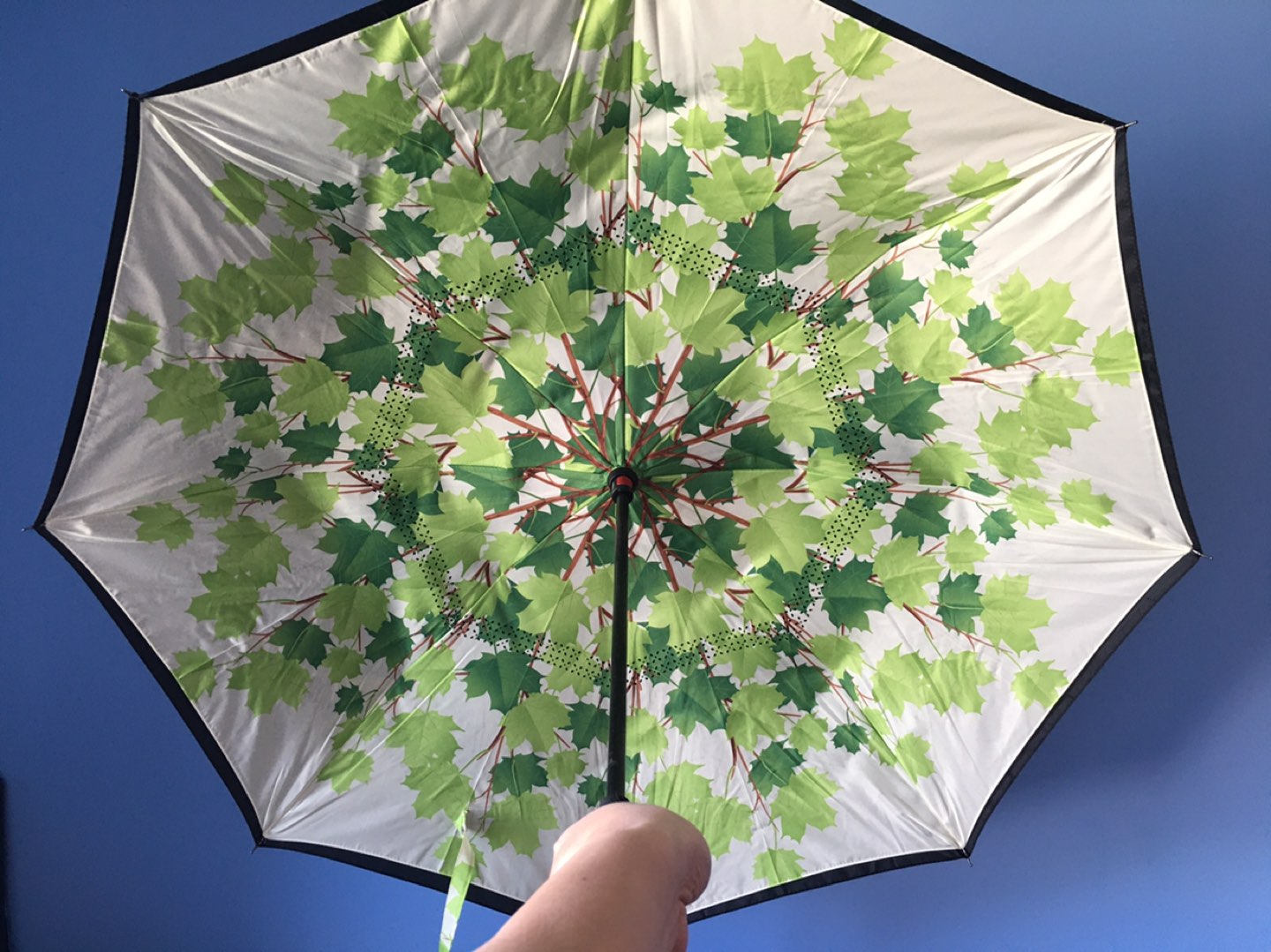 NEW Inverted, Windproof, Reverse Umbrella image indicator(5)