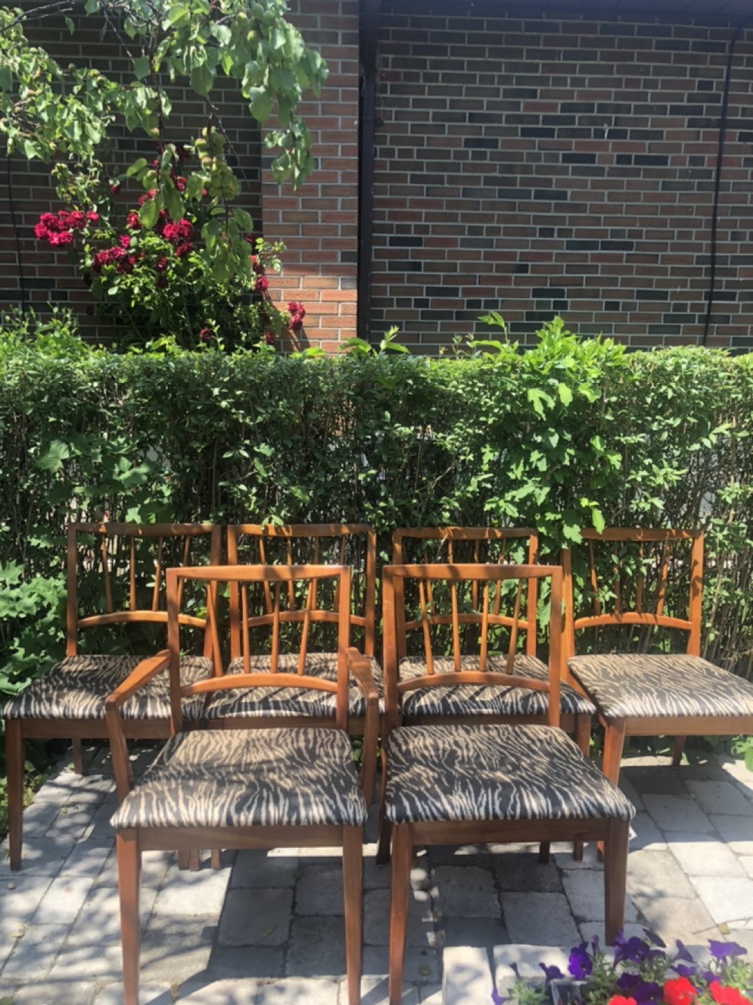Walnut mid century/boho chairs thumbnail