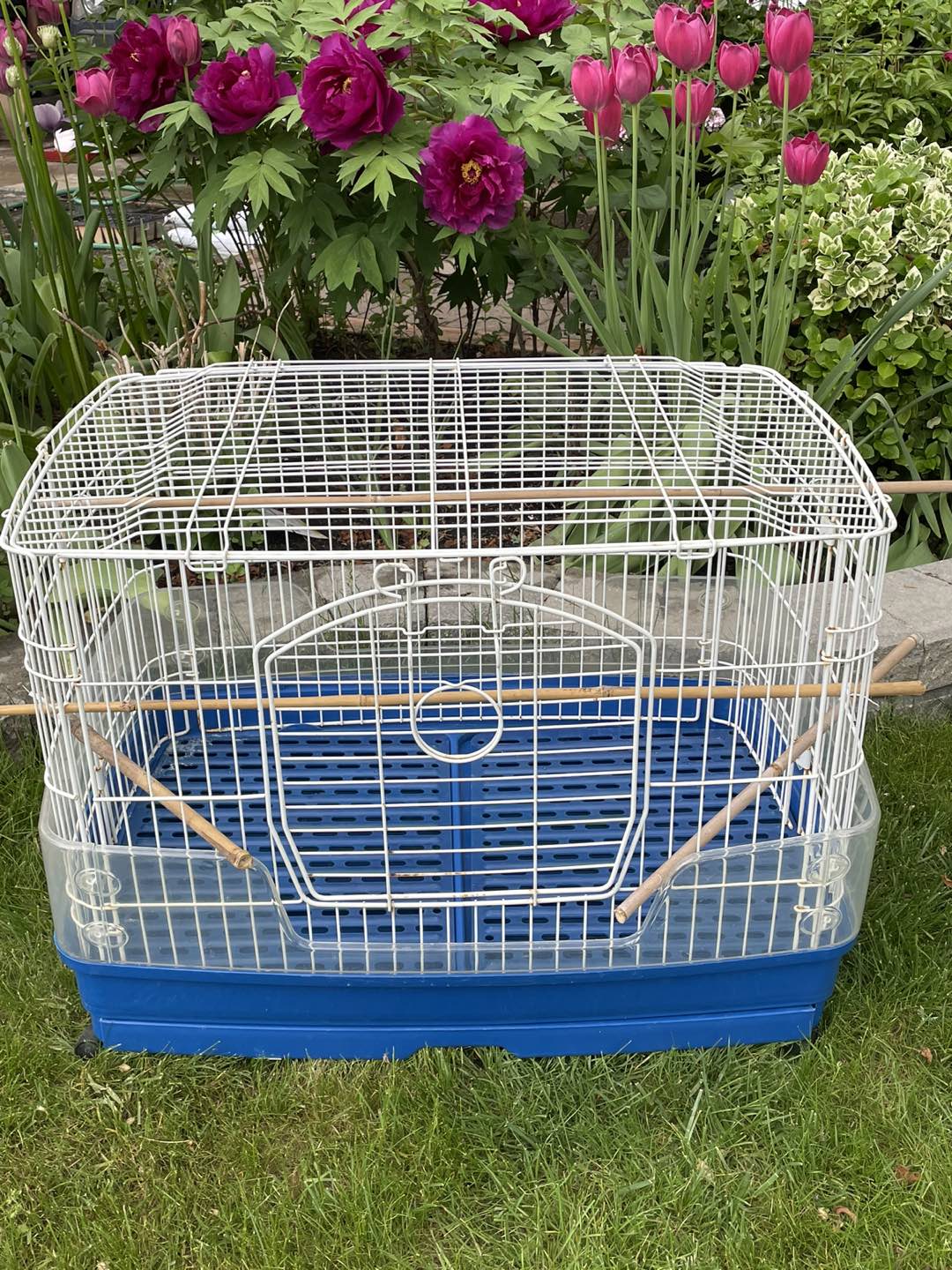 Animals Cage thumbnail