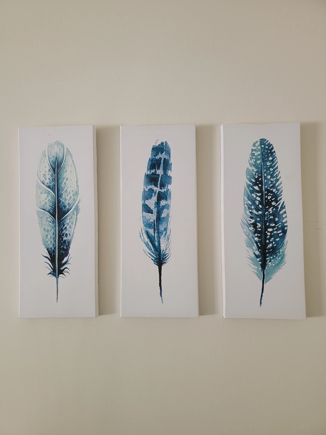 Feathers Posters